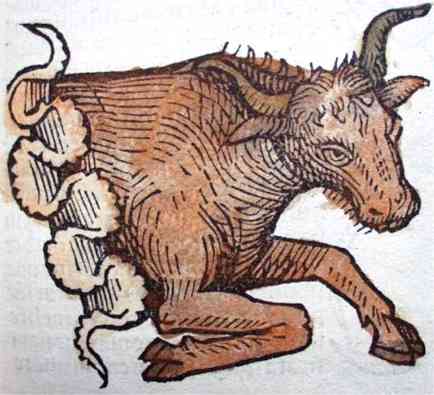 File:Taurus-sign.jpg